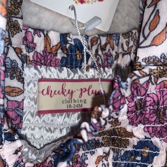 NWT Cheeky Plum Brielle Shimmer Dress Violet Fields 18-24M - Picture 8 of 14